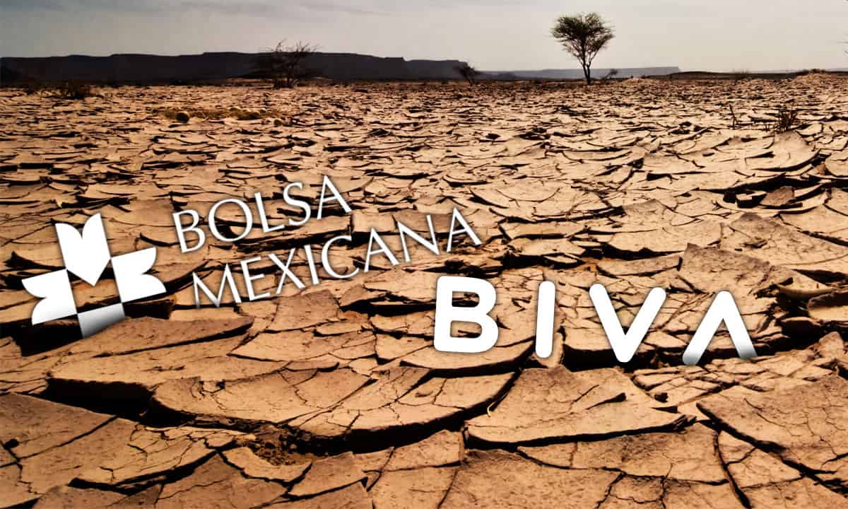 Falta de nuevas Ofertas Públicas Iniciales en BMV y Biva