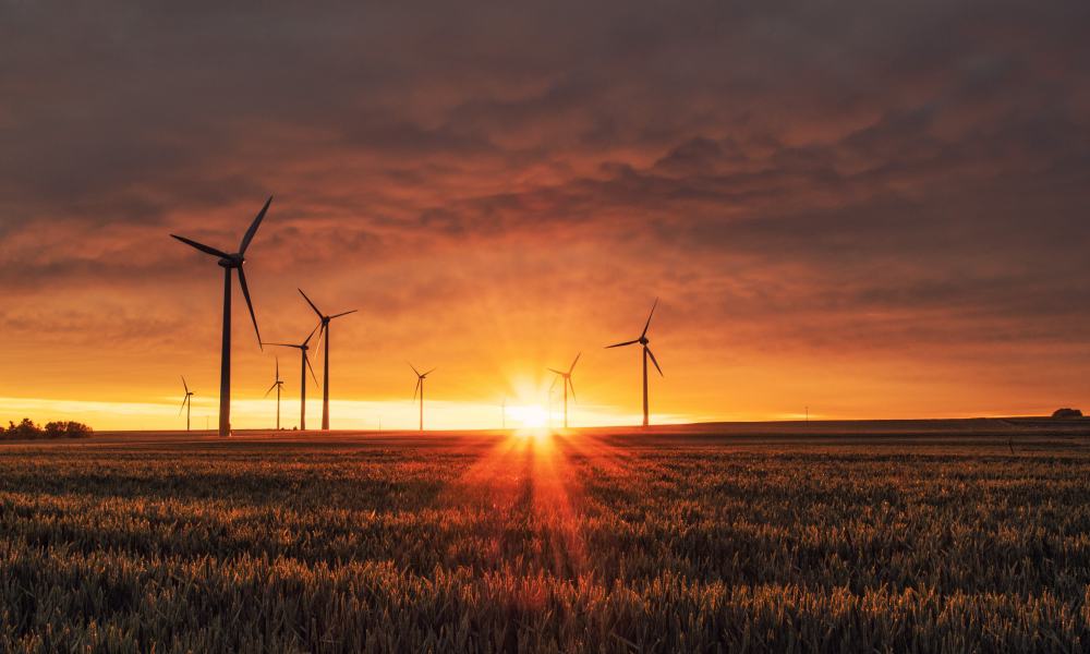 Alemania impulsa las energías renovables