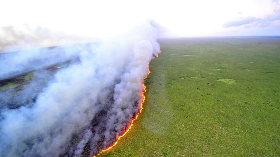 brasil, amazonas, amazonias, incendio forestal