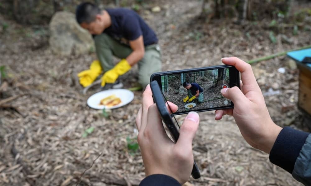 Campesinos chinos encuentran fortuna en videos en línea