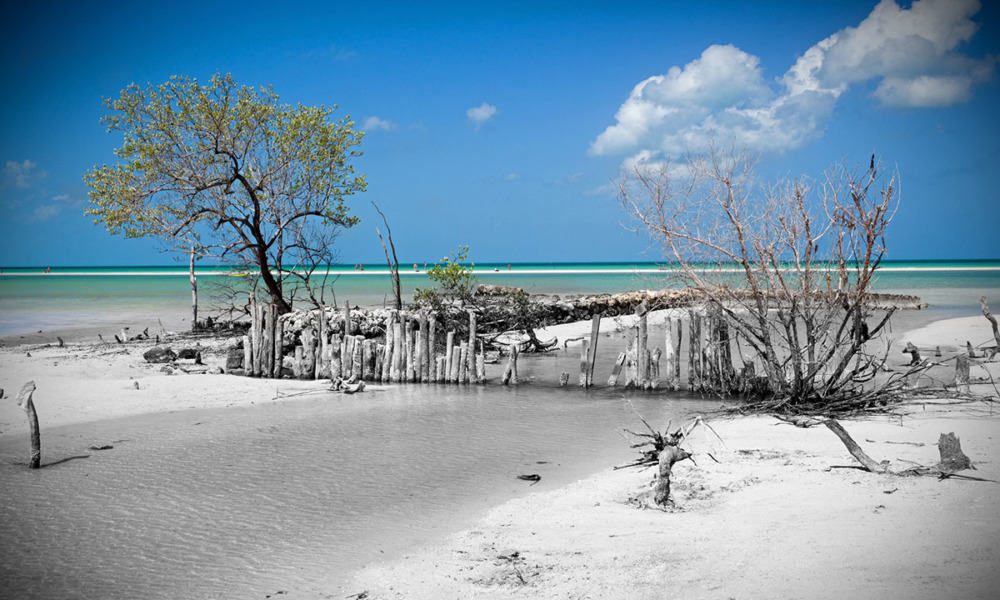 holbox