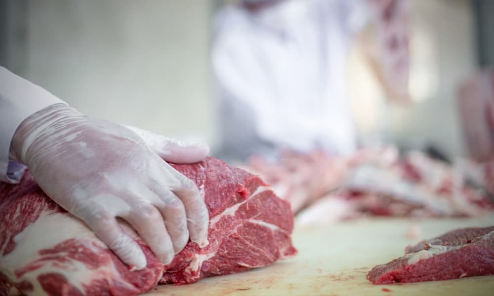 Carne