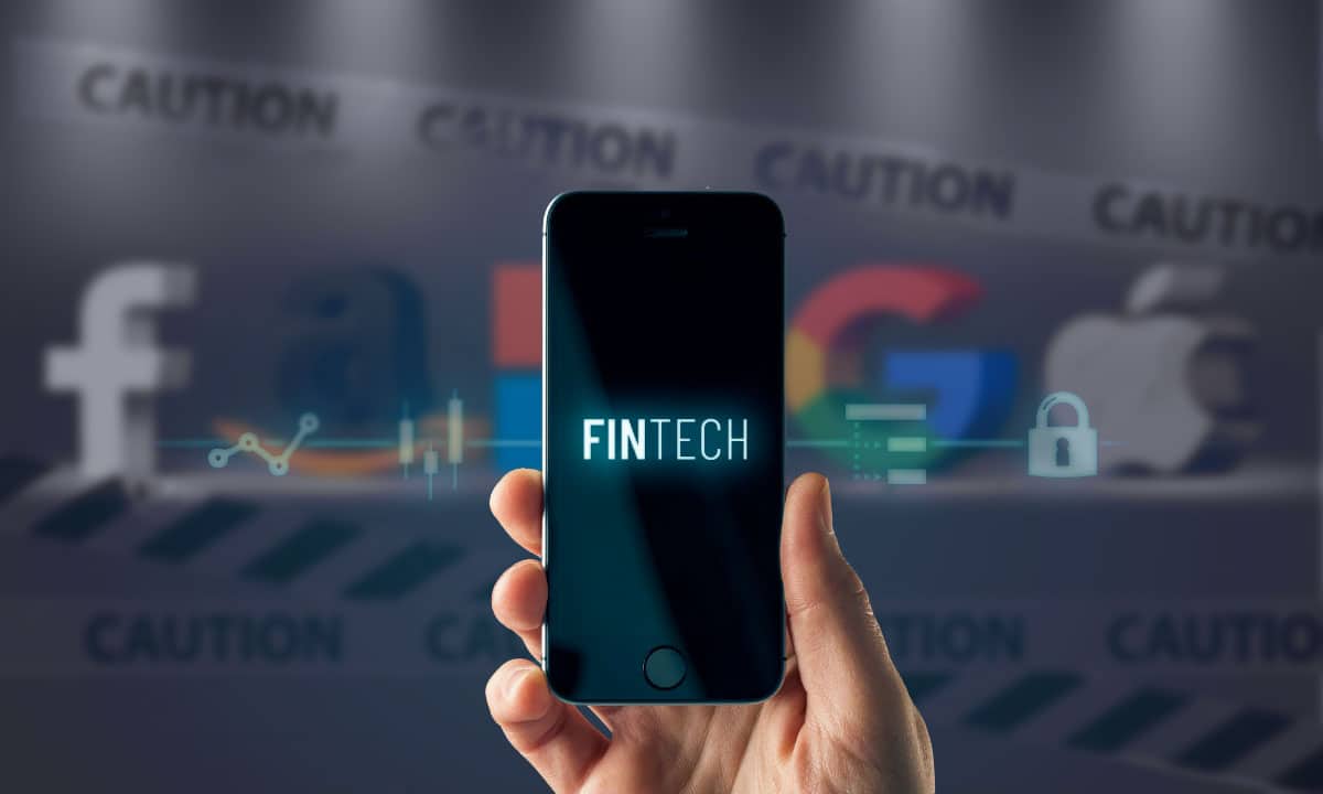 fintech Big Tech