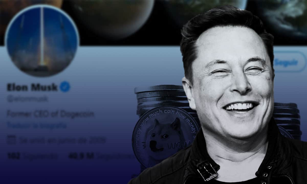 Elon Musk dogecoin
