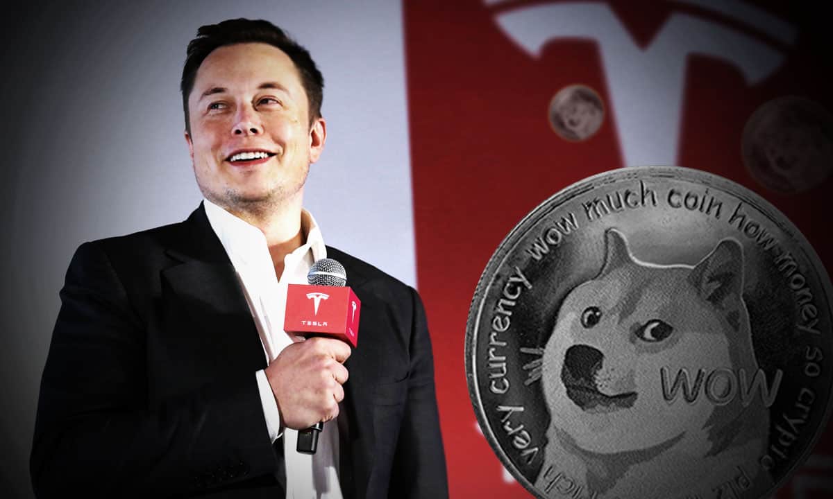 Elon Musk dogecoin