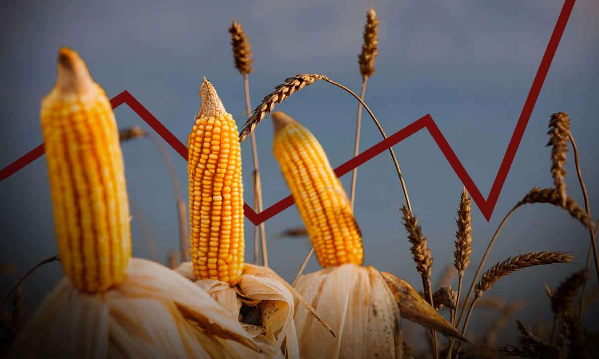 agflacion inflacion productos agropecuarios