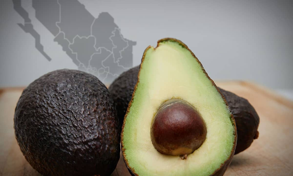 importaciones aguacate hass mexicano