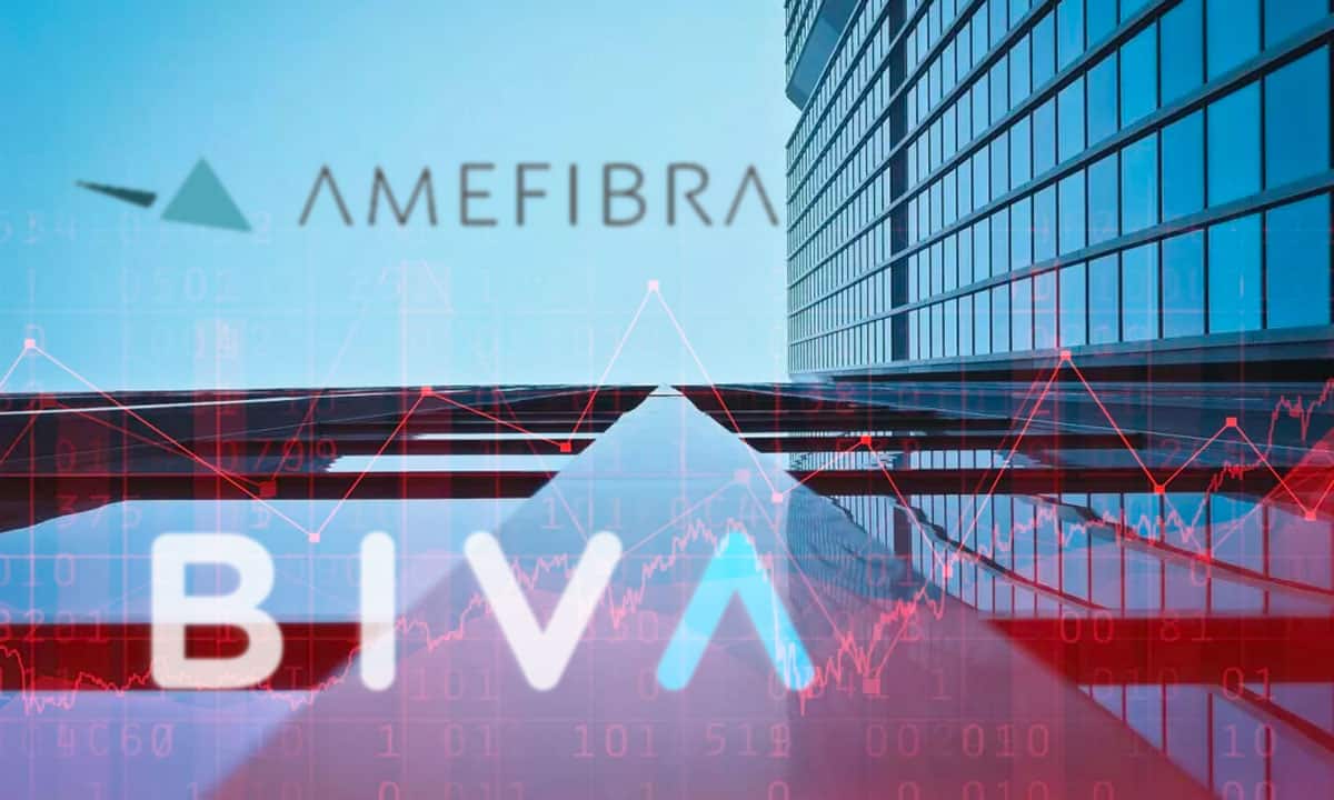 amefibra fibras bolsa