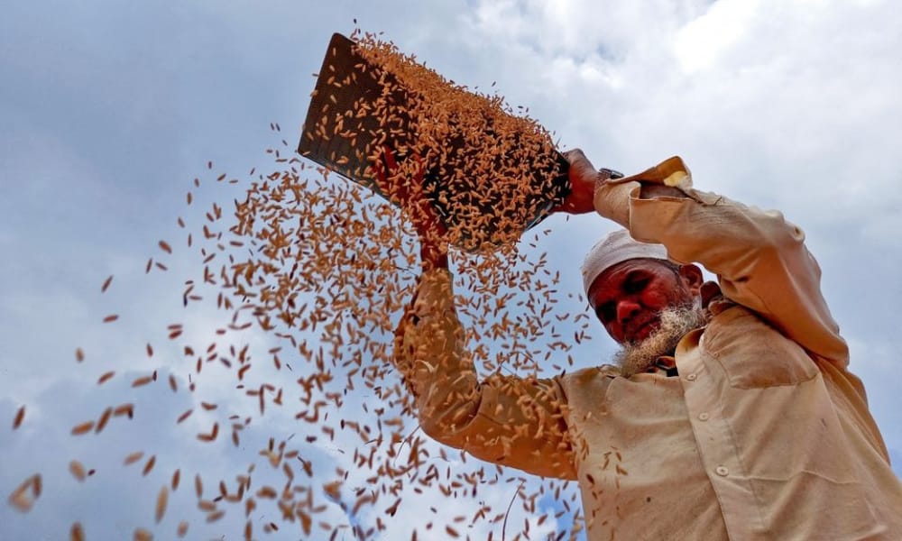 producción agrícola mundial