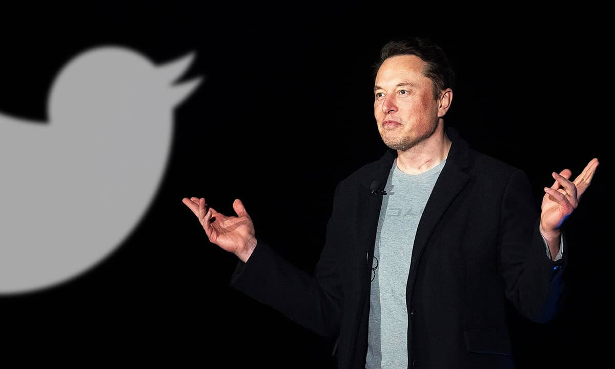 elon musk twitter despidos