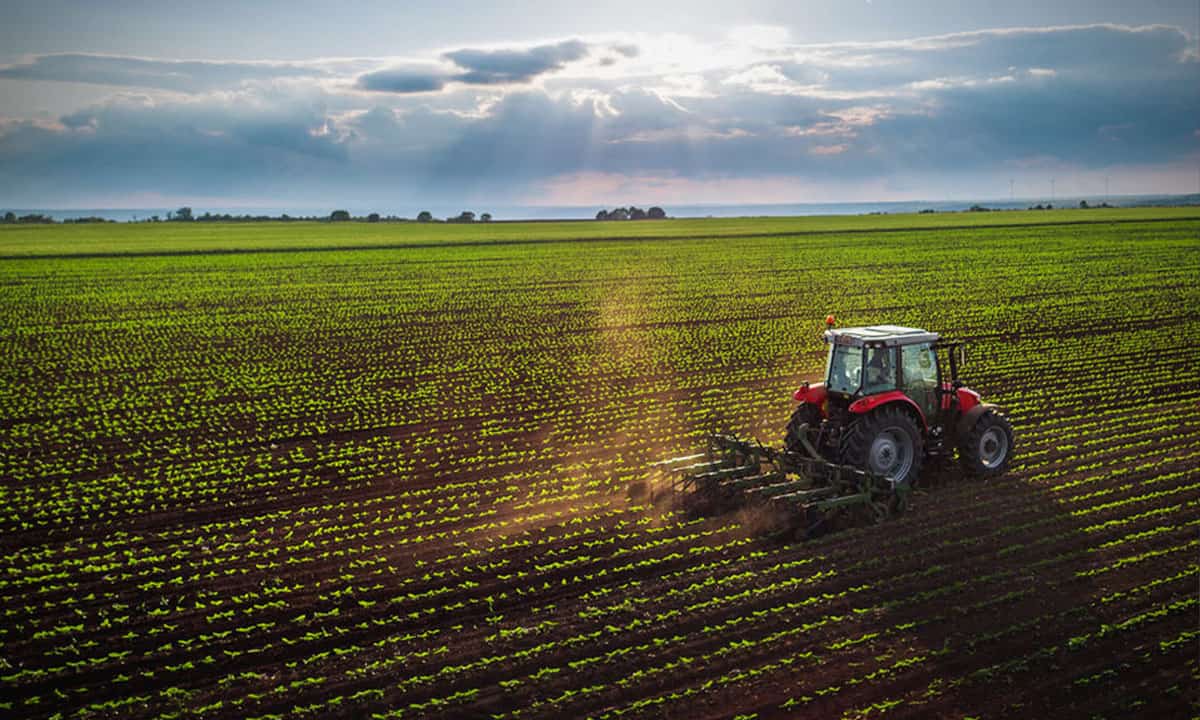 Agrofibra, el primer vehículo de inversión de su tipo, debuta en BIVA