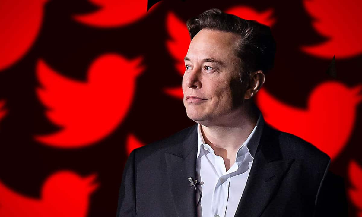 elon musk twitter usuarios