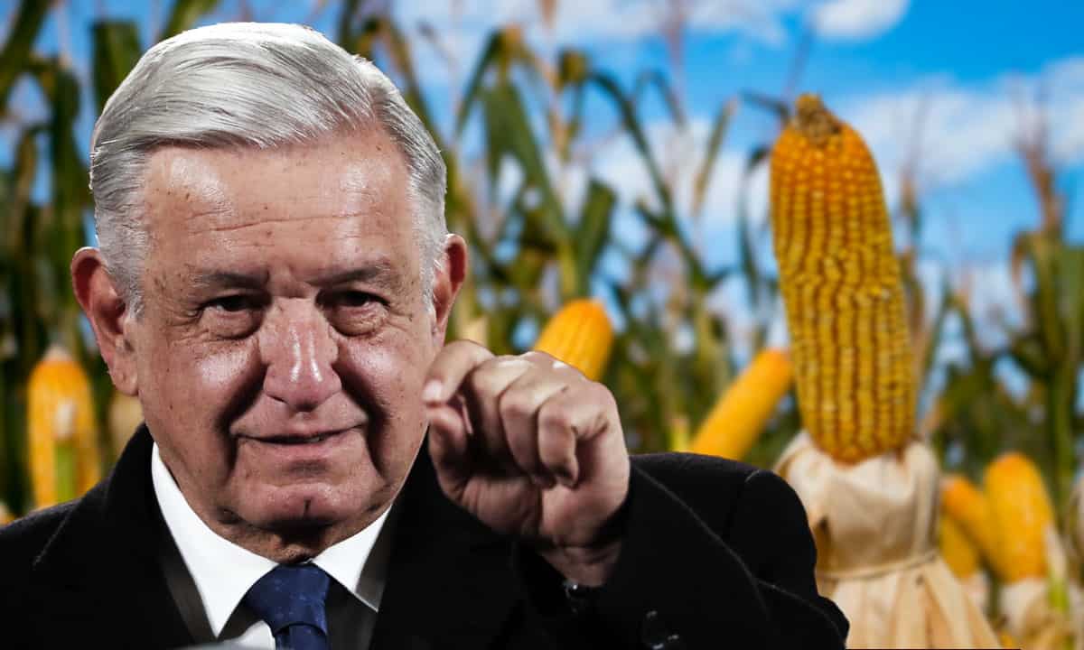 Prohibición al maíz transgénico es un tema de salud AMLO