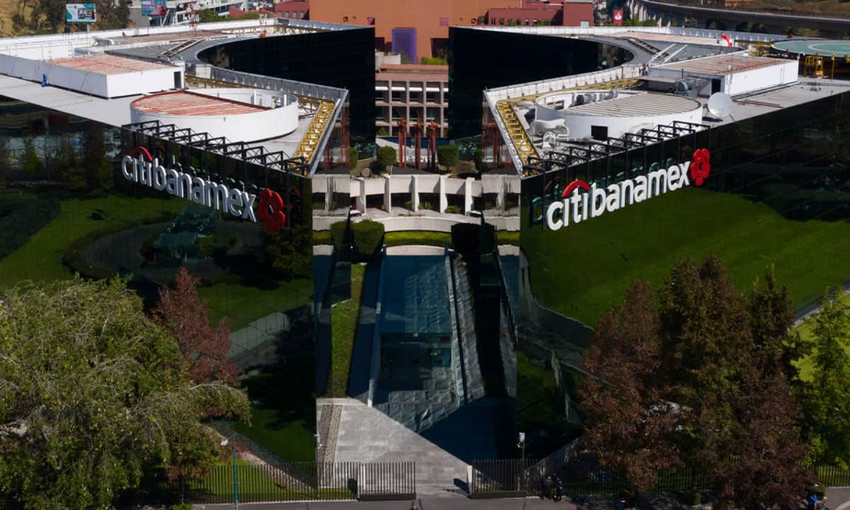 Compra de Banamex tendria futuro poco prometedor para Grupo Mexico