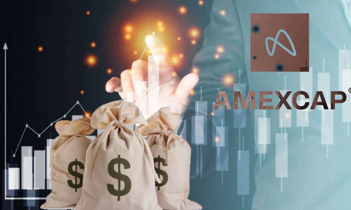 amexcap capital privado inversiones