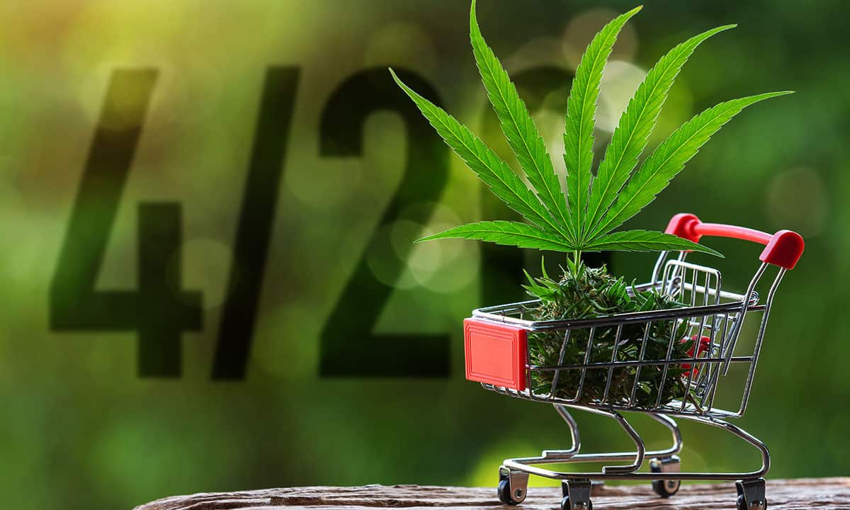 420 Día Mundial de la Cannabis una industria creciente